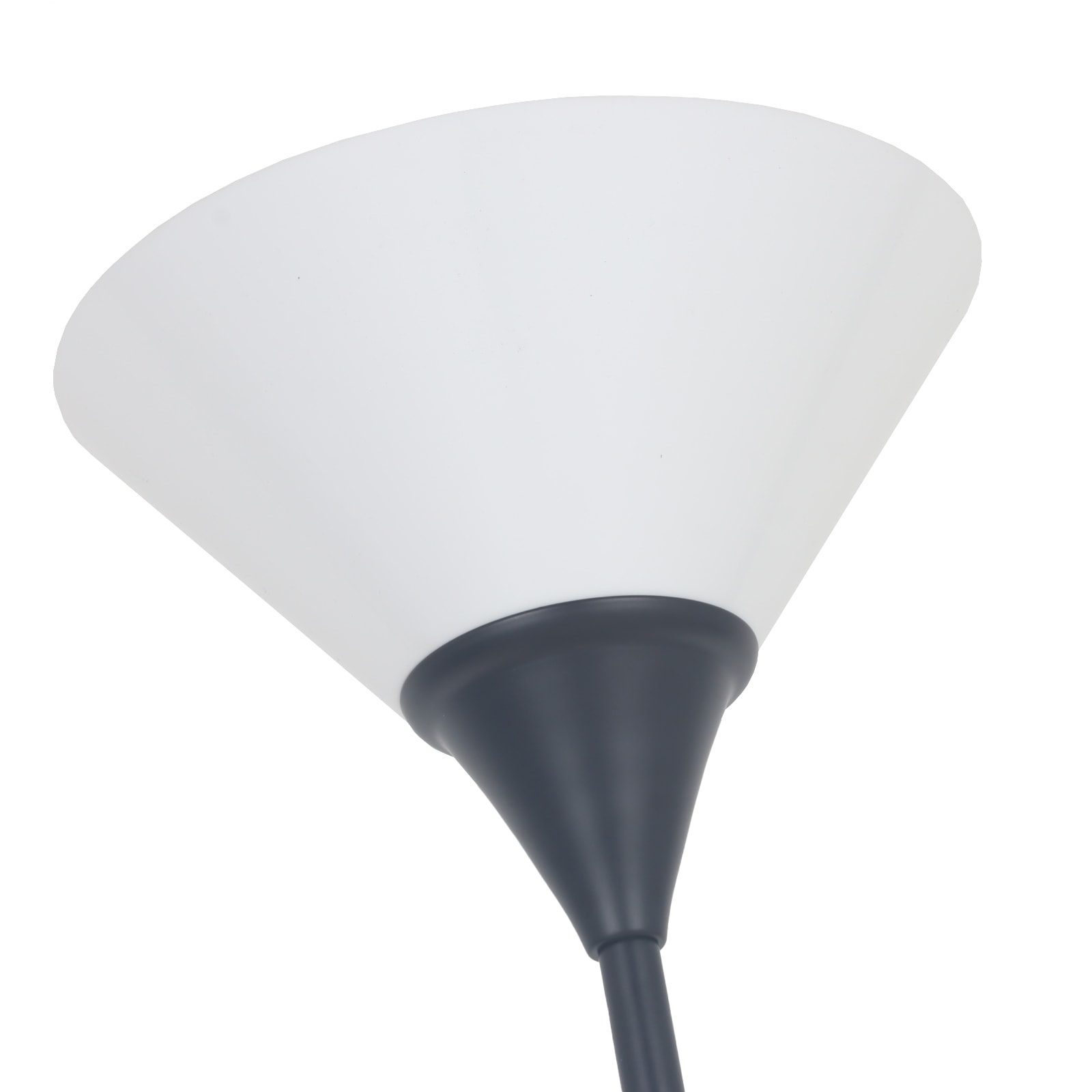 image_40405f81-2e58-4c3d-be8e-f3fb6ea3b084